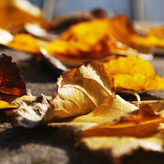 无限轰炸手机软件手机号下载