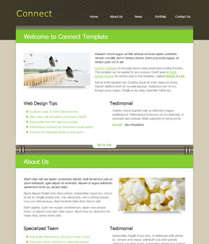 报复骗子轰炸神器